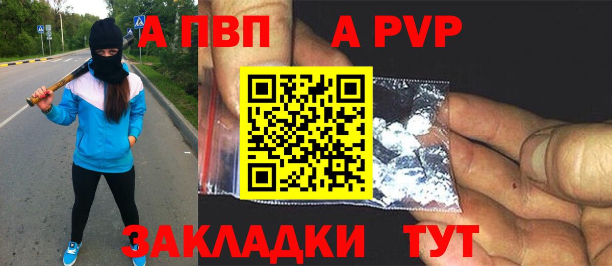 Альфа ПВП СК КРИС Кингисепп