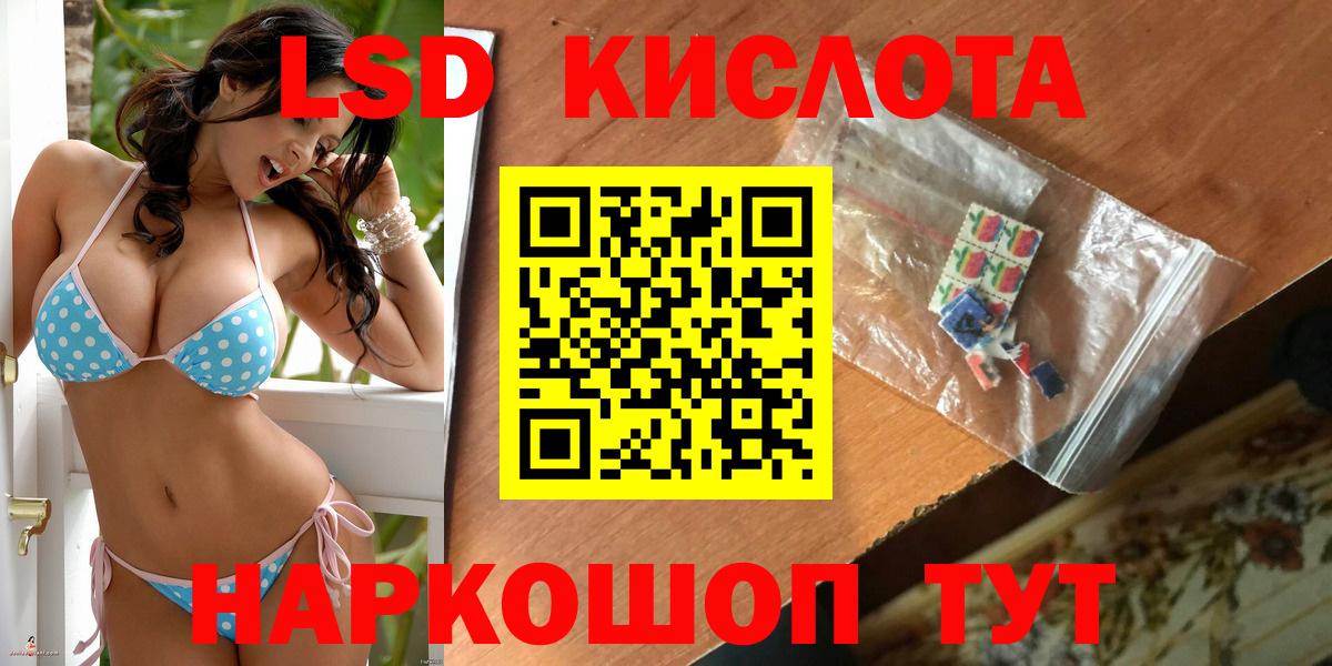 Кингисепп  omg ССЫЛКА  LSD-25 экстази кислота  LSD-25 экстази  Вход с VPN  ЛСД экстази кислота 